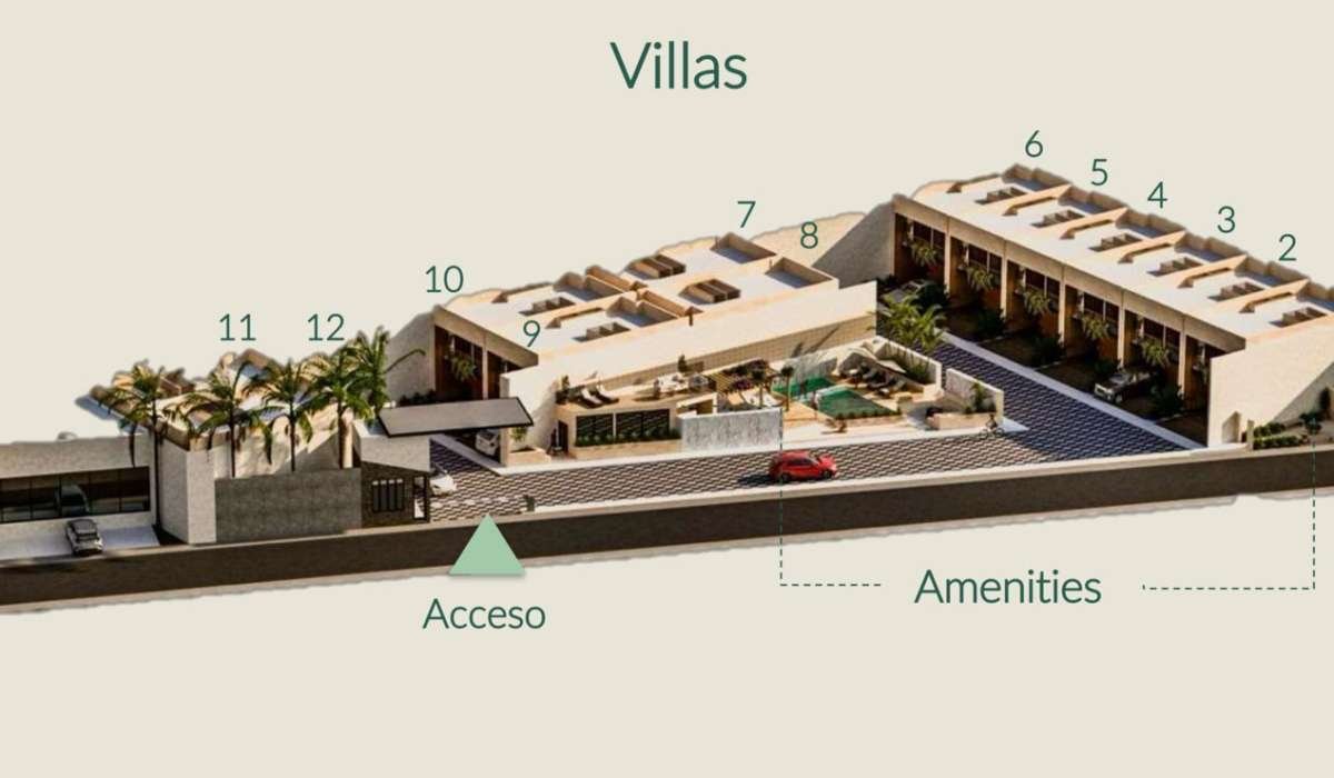 WhatsApp Image 2026-02-17 at 19.44.22